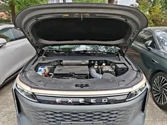 2023 Exeed RX 400T 2WD Luxury — фото 20