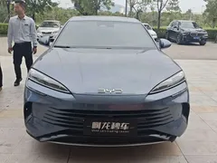 2023 BYD Seal 1.5T DM-i PHEV 121km Flagship — фото 3