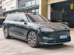 2024 Aito M9 EREV Max 42kWh 6-seat, зелёный — фото 3