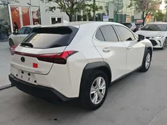 2020 Lexus UX 200 Special Edition, белый — фото 9