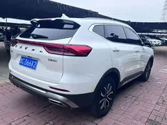 2023 Haval H6 1.5T AT Guochao Urban, белый — фото 5