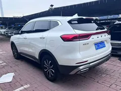 2023 Haval H6 1.5T AT Guochao Urban, белый — фото 6