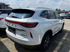 2021 Haval H6 3rd Gen 2.0T AT 4WD Max, белый — фото 17