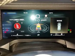 2021 Tank 300 Off-road 2.0T Challenger — фото 14