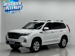2020 Haval H9 2.0T 4WD Luxury 7-Seat, белый — фото 1