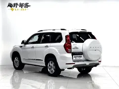 2020 Haval H9 2.0T 4WD Luxury 7-Seat, белый — фото 12