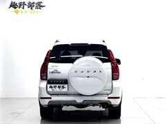 2020 Haval H9 2.0T 4WD Luxury 7-Seat, белый — фото 13