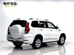 2020 Haval H9 2.0T 4WD Luxury 7-Seat, белый — фото 14