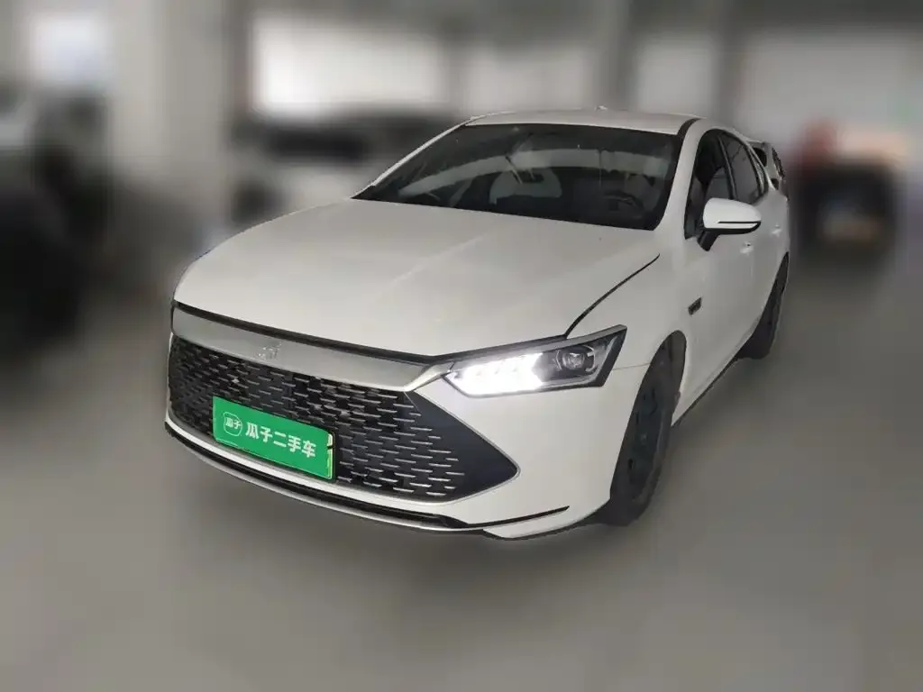 2024 BYD Qin PLUS Honor DM-i PHEV 55km Leading