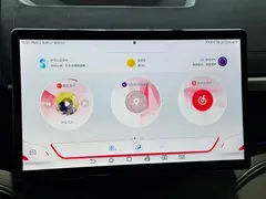2024 BYD Song PLUS Honor DM-i PHEV 110km Flagship Plus — фото 14