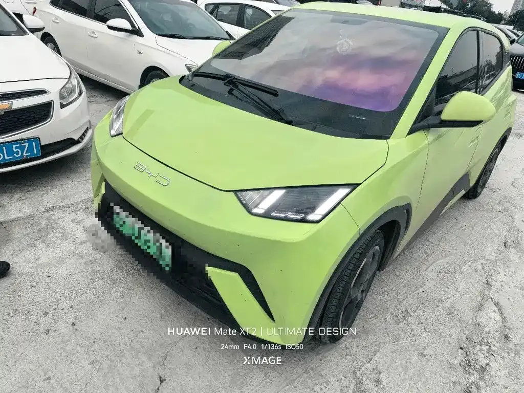 2024 BYD Seagull EV 305km Honor Freedom