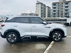 2024 BYD Yuan UP 401km Leading — фото 7