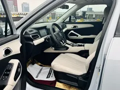 2024 BYD Yuan UP 401km Leading — фото 9