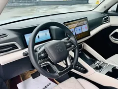 2024 BYD Yuan UP 401km Leading — фото 10