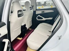 2024 BYD Yuan UP 401km Leading — фото 11