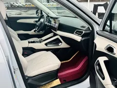 2024 BYD Yuan UP 401km Leading — фото 12