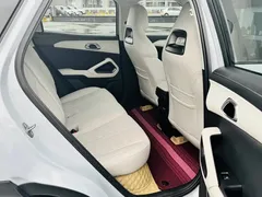 2024 BYD Yuan UP 401km Leading — фото 14