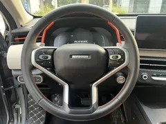 2021 Haval Chitu 1.5T — фото 14