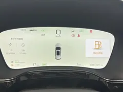 2025 BYD Tang DM-i PHEV 115km Premium — фото 7