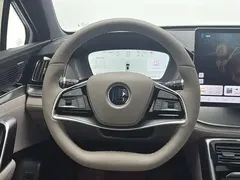 2025 BYD Tang DM-i PHEV 115km Premium — фото 9