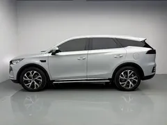 2025 BYD Tang DM-i PHEV 115km Premium — фото 10