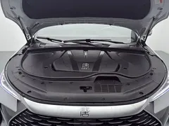 2025 BYD Tang DM-i PHEV 115km Premium — фото 11