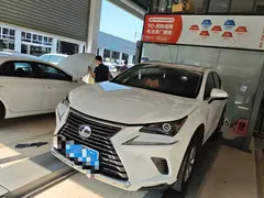2020 Lexus NX 300h 2WD Fashion, белый — фото 1