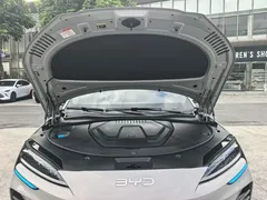 2025 BYD Song PLUS DM-i PHEV 112km Premium — фото 21