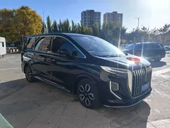 2023 Hongqi HQ9 2.0T — фото 2