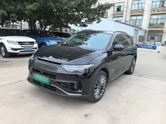 2024 Leapmotor C11 EREV 300 Premium, чёрный — фото 1