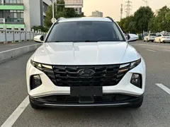 2021 Hyundai Tucson L 1.5T DCT LUX Premium, белый — фото 2
