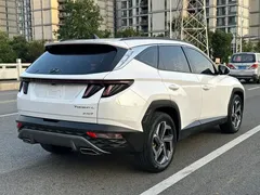 2021 Hyundai Tucson L 1.5T DCT LUX Premium, белый — фото 9