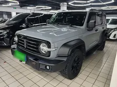 2021 Tank 300 Off-road 2.0T Conqueror — фото 1