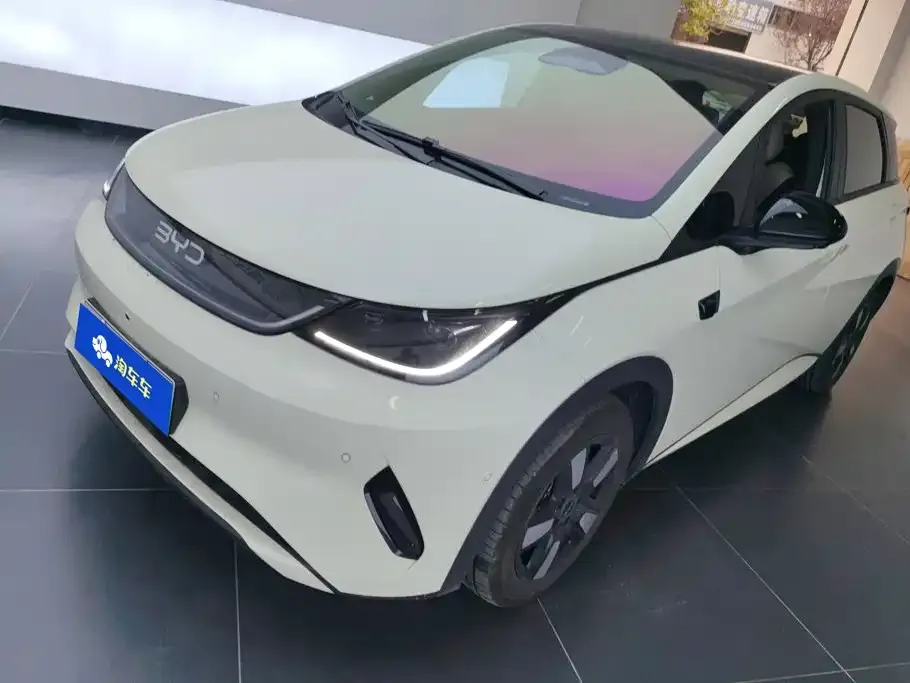 2025 BYD Dolphin Smart Driving 410km Fashion