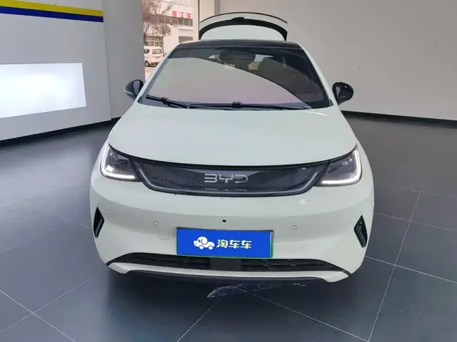 2025 BYD Dolphin Smart Driving 410km Fashion