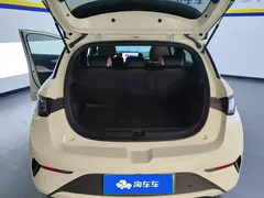 2025 BYD Dolphin Smart Driving 410km Fashion — фото 4