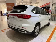 2021 Haval M6 Plus 1.5T DCT Elite, белый — фото 4