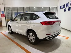 2021 Haval M6 Plus 1.5T DCT Elite, белый — фото 6