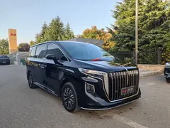 2024 Hongqi HQ9 2.0T PHEV 4WD Business, чёрный — фото 3