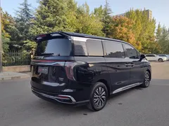 2024 Hongqi HQ9 2.0T PHEV 4WD Business, чёрный — фото 9