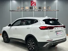 2023 Haval H6 1.5T AT Guochao Urban, белый — фото 5
