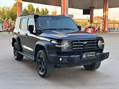 2021 Tank 300 Off-road 2.0T Conqueror, чёрный — фото 3