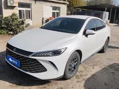2025 BYD Qin PLUS DM-i PHEV Smart Driving 55km Leading, белый — фото 1