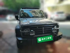 2021 Tank 300 Off-road 2.0T Conqueror — фото 2