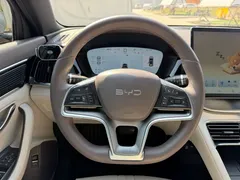 2025 BYD Song PLUS PHEV DM-i 160km Flagship — фото 11
