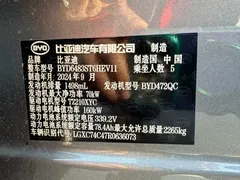 2025 BYD Song PLUS PHEV DM-i 160km Flagship — фото 21