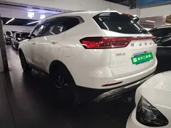 2021 Haval H6 1.5T AT Guochao Urban, белый — фото 5