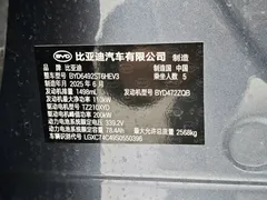 2025 BYD Sea Lion 07 DM-i PHEV 150 Pilot — фото 11