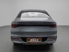 2023 BYD Qin PLUS Champion DM-i PHEV 120km — фото 4