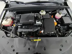 2023 BYD Qin PLUS Champion DM-i PHEV 120km — фото 6